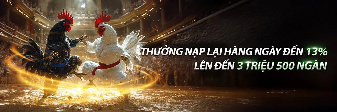 Sân vận động đầy ắp khán giả với các trận đấu thể thao sôi động tại 997bet link mới