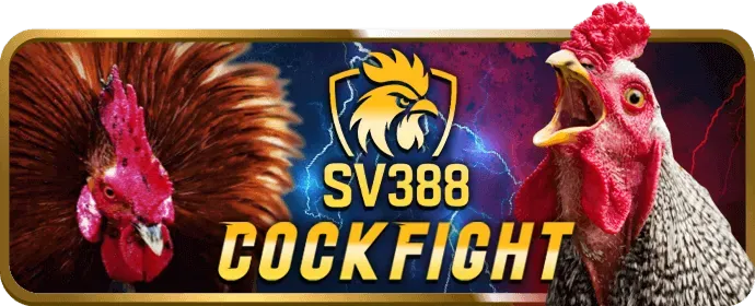 Hướng dẫn đăng ký 997bet link mới và nhận khuyến mãi